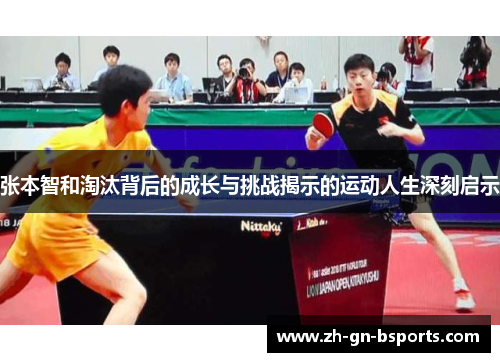 张本智和淘汰背后的成长与挑战揭示的运动人生深刻启示