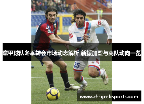 意甲球队冬季转会市场动态解析 新援加盟与离队动向一览